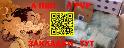 ешки Кингисепп