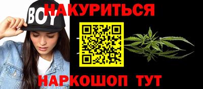 ешки Кингисепп