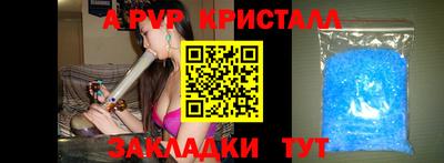 ешки Кингисепп