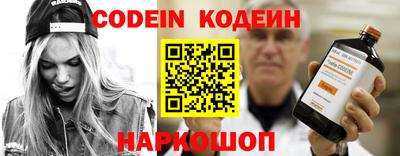 ешки Кингисепп