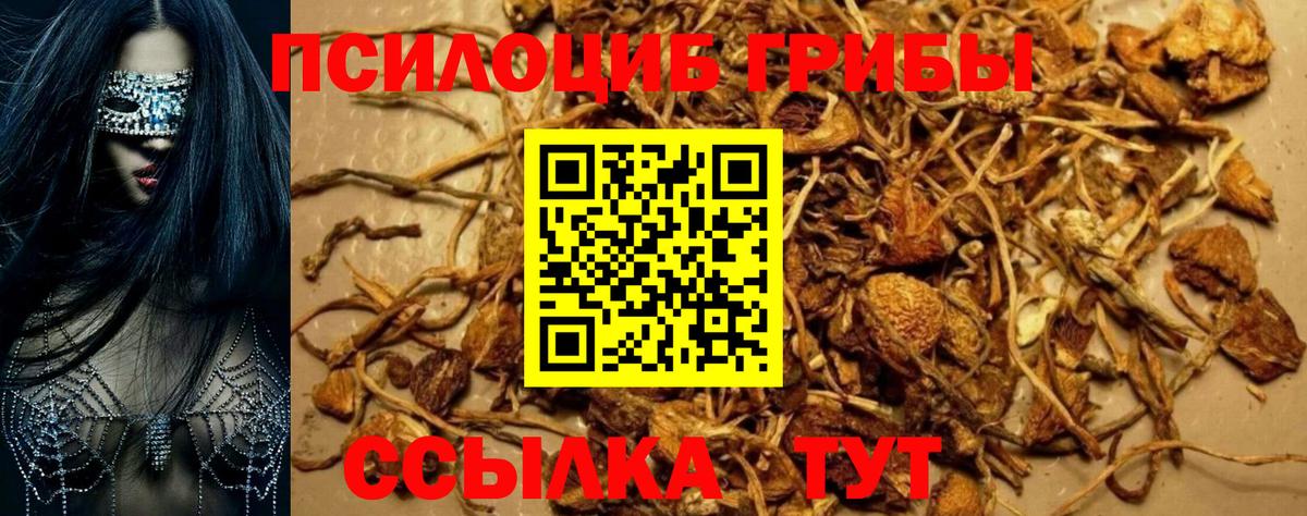 Галлюциногенные грибы Magic Shrooms Кропоткин
