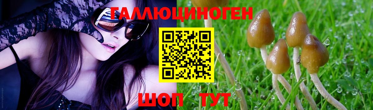 Псилоцибиновые грибы GOLDEN TEACHER  Вход с VPN  цены наркотик  Кропоткин 
